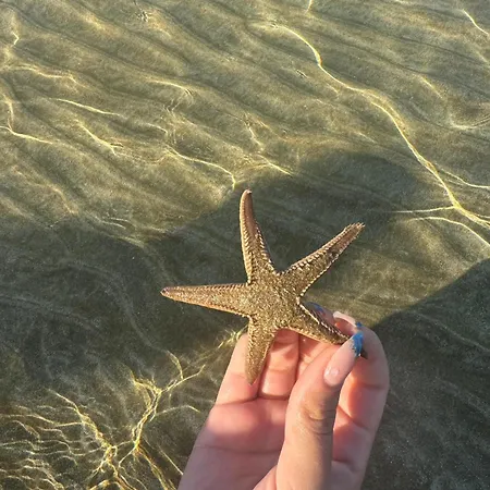 Exclusive Famagusta *