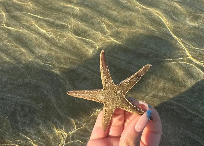 Exclusive Famagusta *